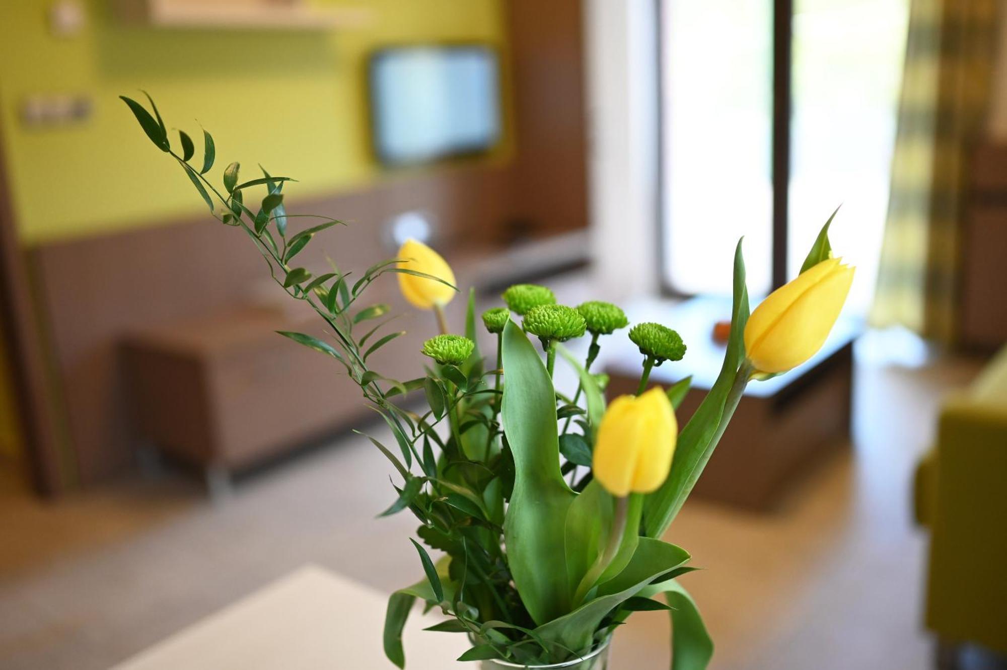 Hotel Jirinka Dolní Morava エクステリア 写真